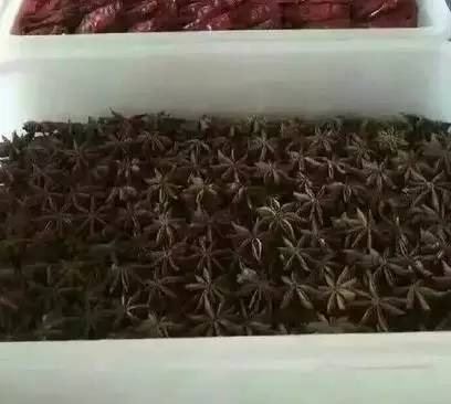 冷卻塔專用吸垢器應(yīng)用范圍(冷卻塔除垢劑的使用比例)